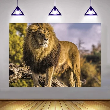 Aafrika Savann Lõvi Fotograafia, Loomad, Looduslik Kaelkirjak Taustaks Elevant Foto Pildistamise Kaunistused Seina Travel Reklaam