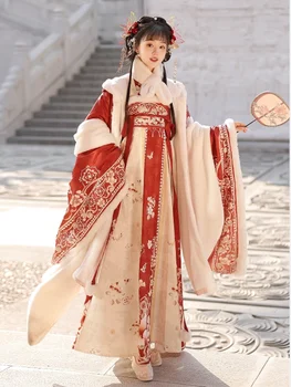 Hiina Traditsiooniline Kostüüm Vana Printsess Talvel Rindkere Pikkus Kleit Talvel Tang Dynasty Stiilis Hanfu