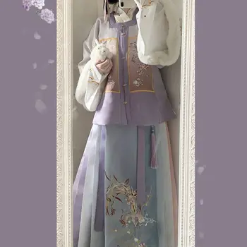 Sügis-Talvel Uute Hanfu Ülikond Naiste Soe Hobuse Nägu Seelik Kostüüm Hiina Stiilis Ühtne Tiki Vana Printsess Riided