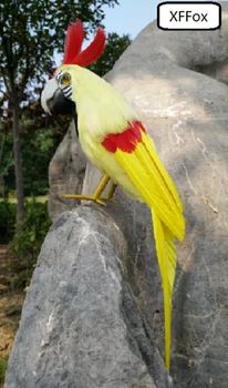 uus reaalne elu kollane papagoi mudel vaht ja sulgedest kakaduu lind kingitus umbes 30cm xf0103